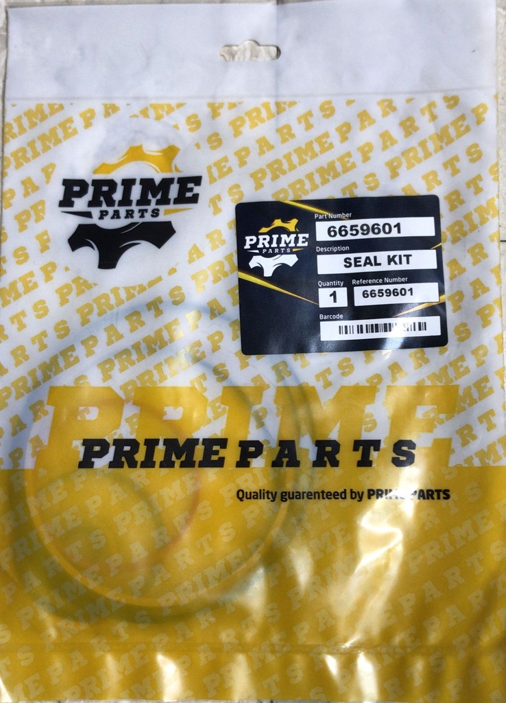 SEAL KIT DRIVE MOTOR       