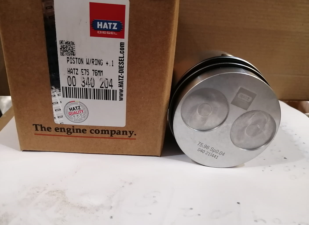 PISTON WITH RING 0.100 