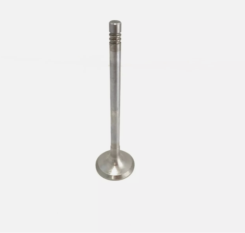 EXHAUST VALVE