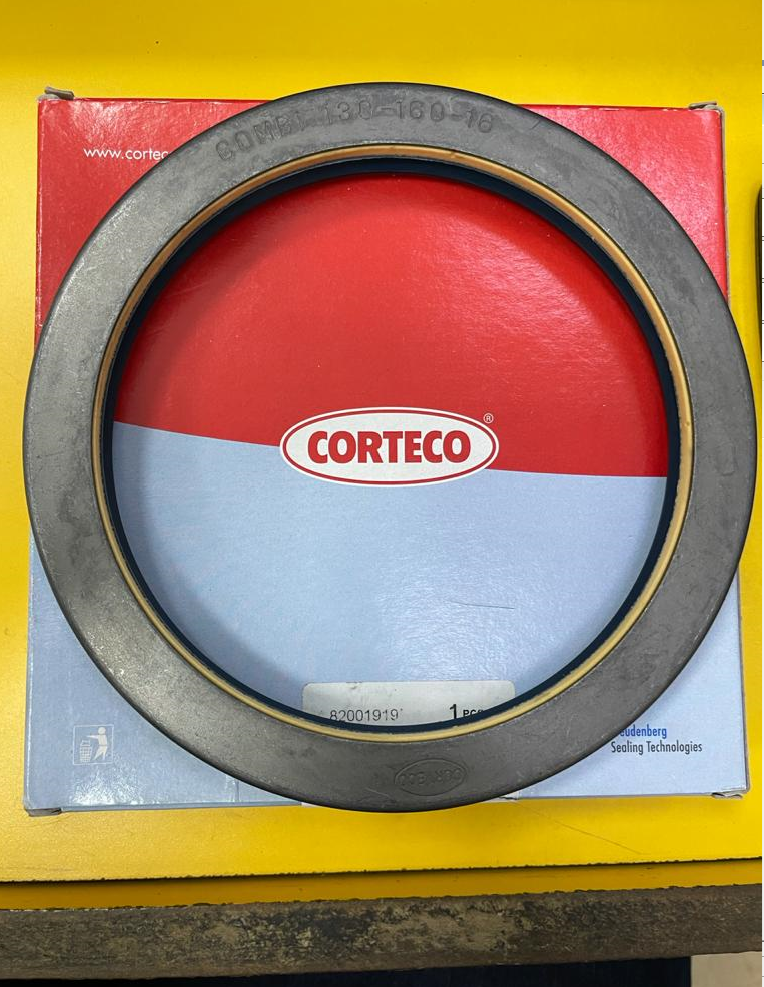 SEAL COMBI 3907166M1   