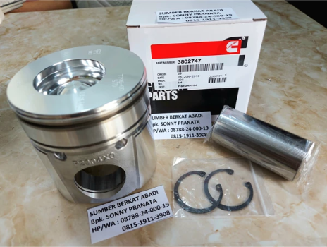 PISTON WITH PIN & RING