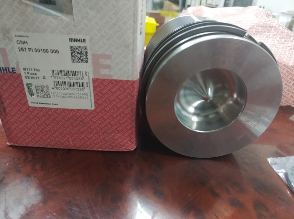 PISTON WITH RING KIT