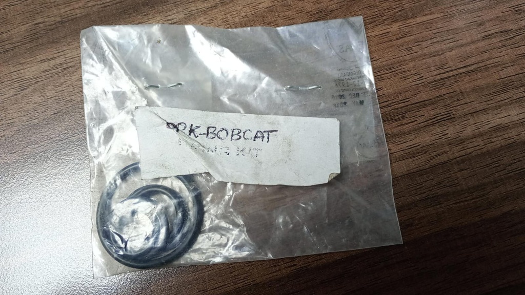 O RING KIT