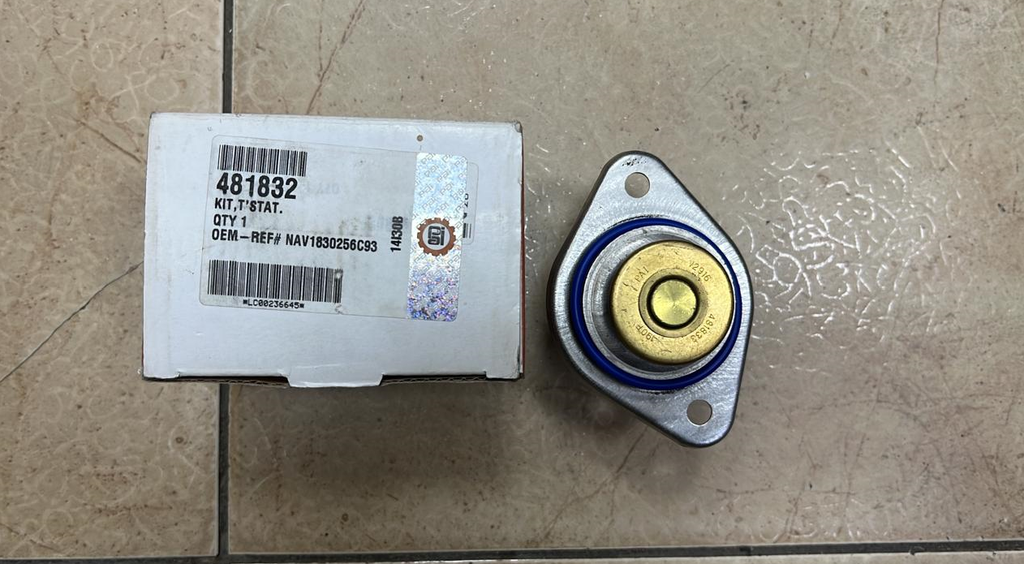 THERMOSTAT ASSY