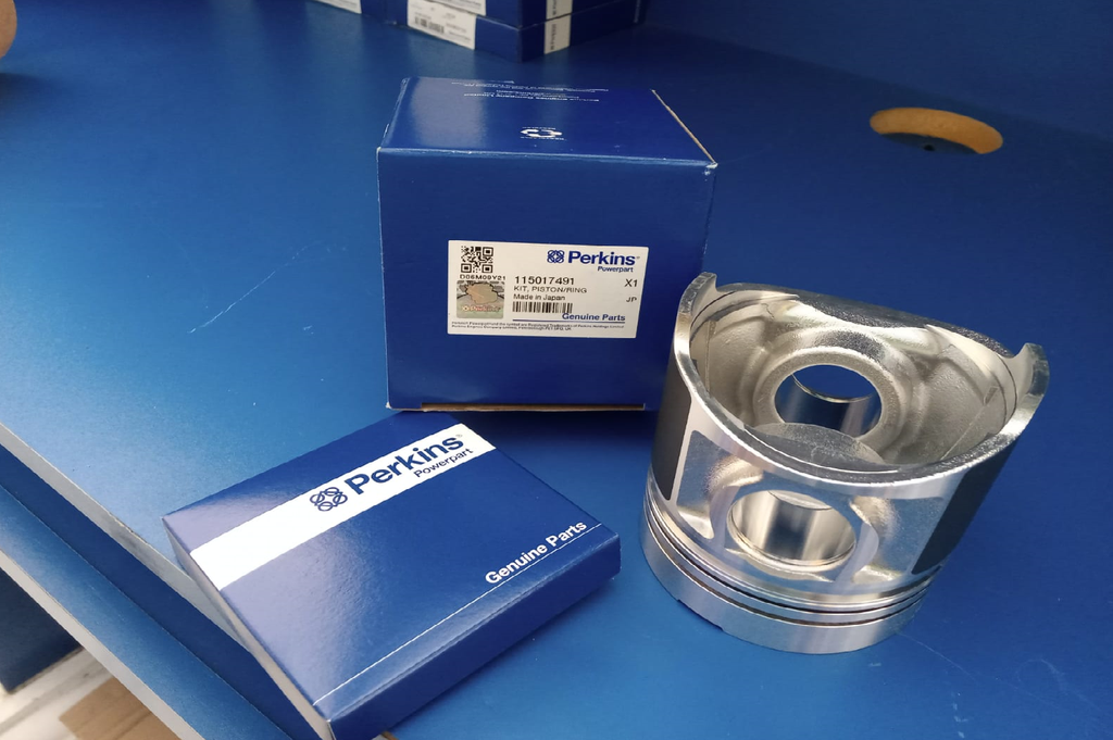 PISTON WITH RING STD