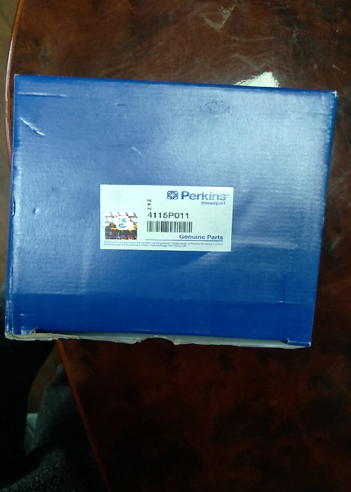 PISTON WITH RING KIT STD