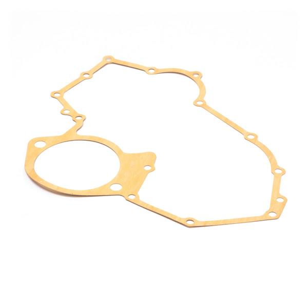TIMING PLATE GASKET 2 HOLE