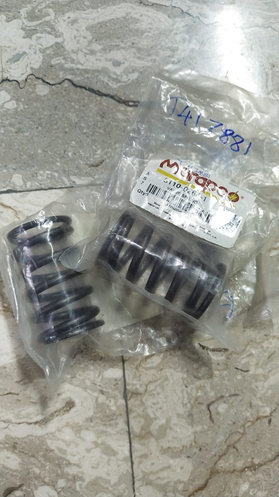 VALVE SPRING 