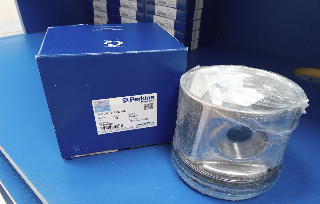 PISTON WITH RING STD
