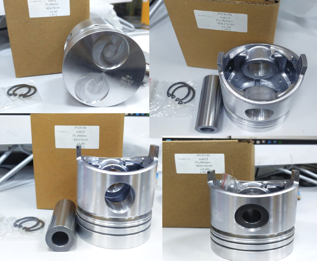 PISTON WITHOUT RING 0.100