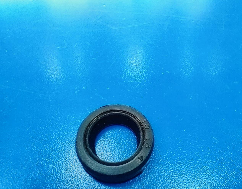 FUEL PUMP RACE SEAL 10X15X4