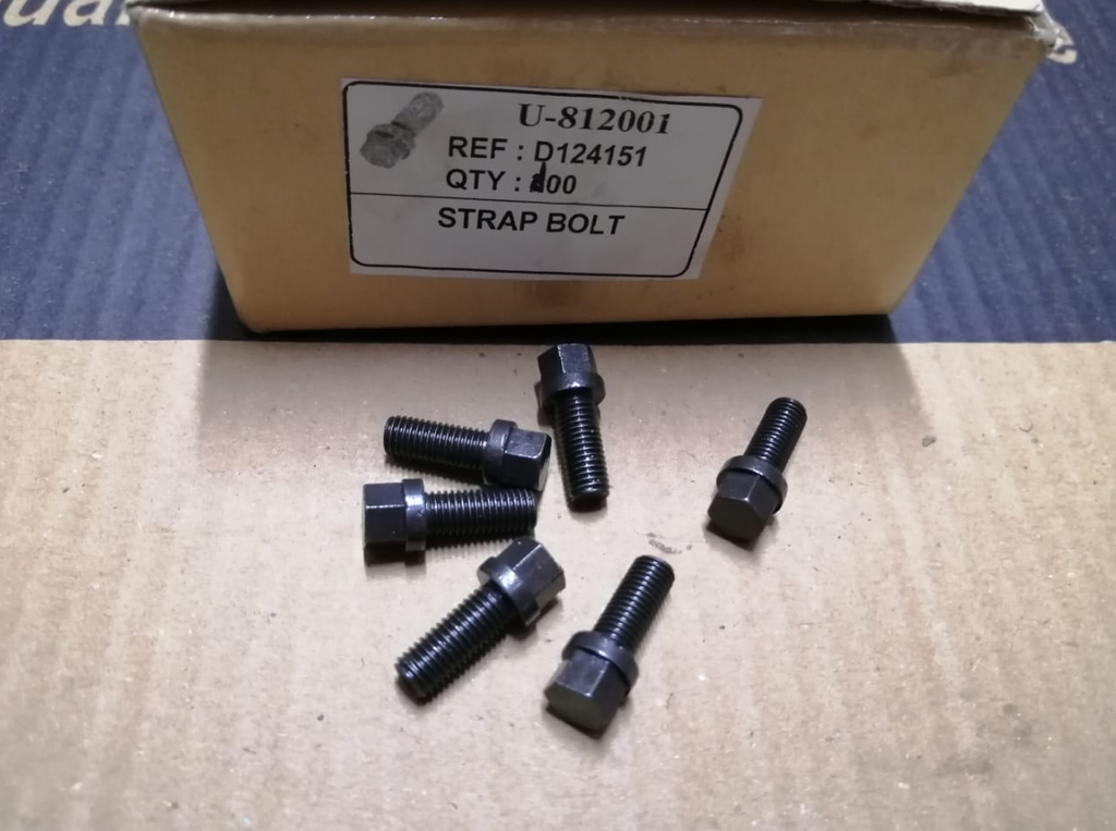 STRAP BOLT