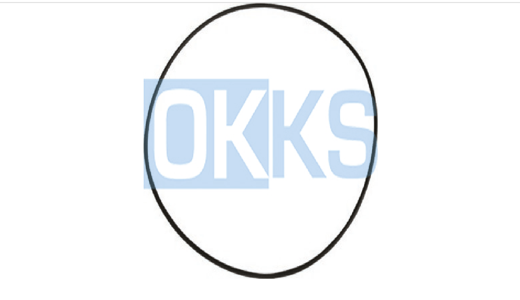 SEAL AXLE BRAKE RING  BIG