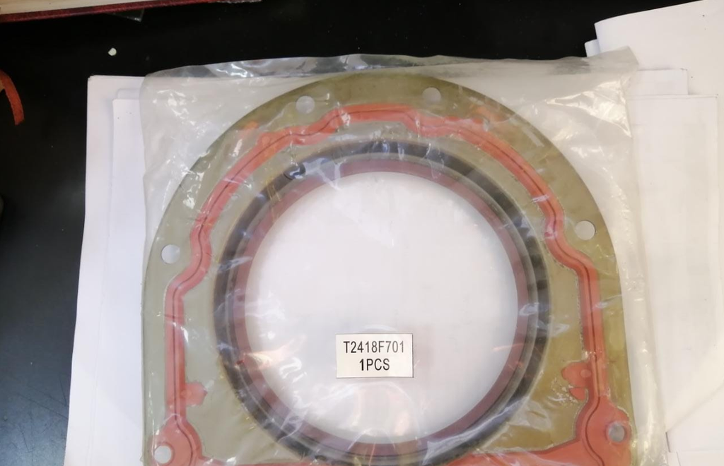 REAR OIL SEAL SPRING TYPE