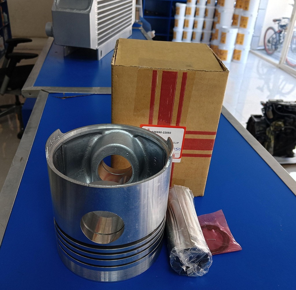 PISTON WITH PIN & LOCK STD              