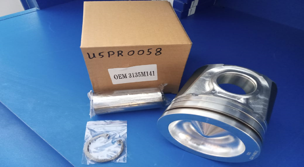PISTON WITH RING KIT STD