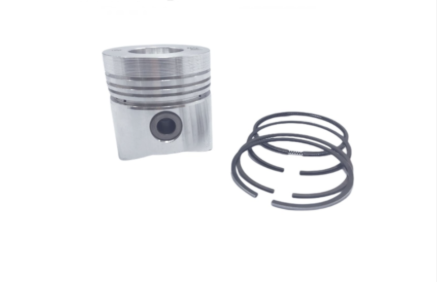 PISTON WITH RING