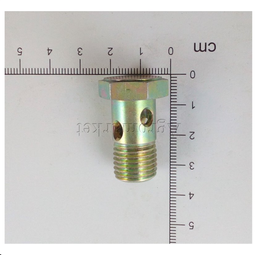 [01119246] BANJO BOLT