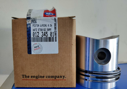 [01234501] PISTON WITH RING 0.50 