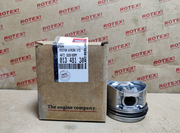 [01348130] PISTON WITH RING                  
