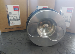 [01380600] PISTON WITH RING STD BORE 102MM