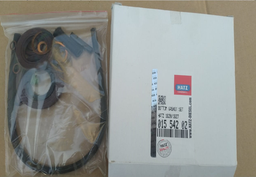 [01554202] GASKET KIT FOR CRANKCASE