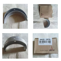 [04231079] MAIN BEARING