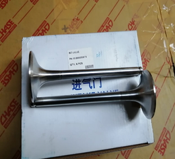 [61200050073] VALVE INTAKE 