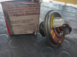 [0304CAV00210N] THERMOSTAT     