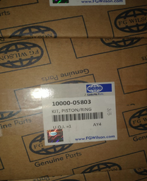 [10000-05803] PISTON WITH RING