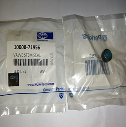 [10000-71956] VALVE SEAL 