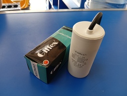 [30UF] CAPACITOR PIN TYPE
