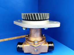 [CH3912019] WATER PUMP SEA