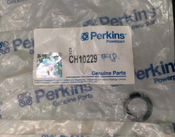 [PECH10229] O RING
