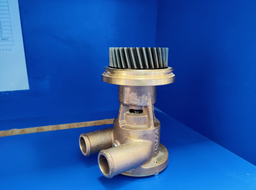 [PESABW10006] RAW WATER PUMP