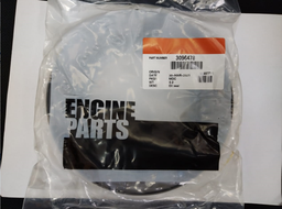 [CH3096478] OIL SEAL