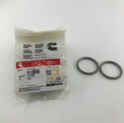 [CH3104445] INSERT INTAKE VALVE