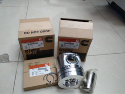 [CH3802060] PISTON KIT WITH RING 