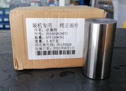 [CH3934048] PISTON PIN