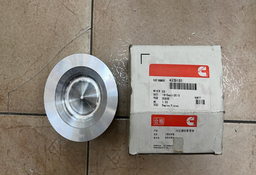 [CH4939181/4935932] PISTON ASSY                     