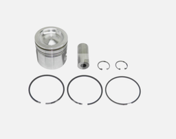 [CH4955160] PISTON WITH RING KIT
