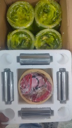 [K4102-10000] CYLINDER KIT WITH PISTON LINER RING