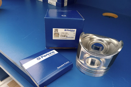 [PE115017491] PISTON WITH RING STD