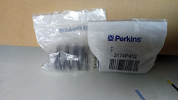 [PE3174P412] VALVE SPRING