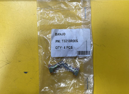 [T3218R005] BANJO BOLT 10MM