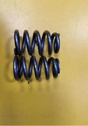 [PN02/202934] VALVE SPRING