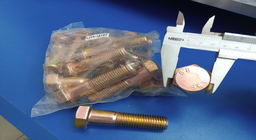 [PN1315/3818Z] BOLT M20X80MM
