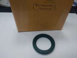 [PS196066A1] OIL SEAL