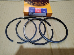[RIK105700-22090] PISTON RING STD                    