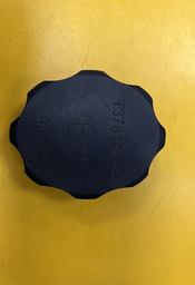 [T3781A003] CAP